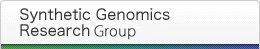 Synthetic Genomics Research Team